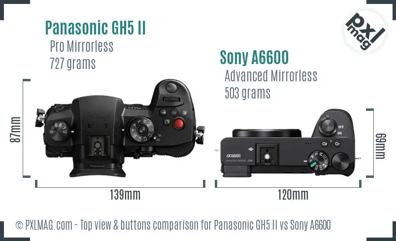 Panasonic GH5 II vs Sony A6600 top view buttons comparison Panasonic GH5 II vs Sony A6600 top view buttons comparison