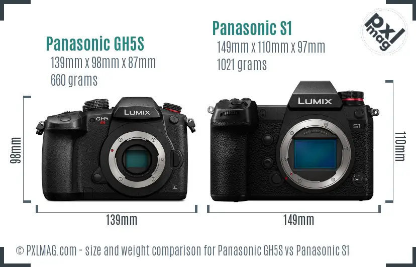 Panasonic GH5S vs Panasonic S1 size comparison