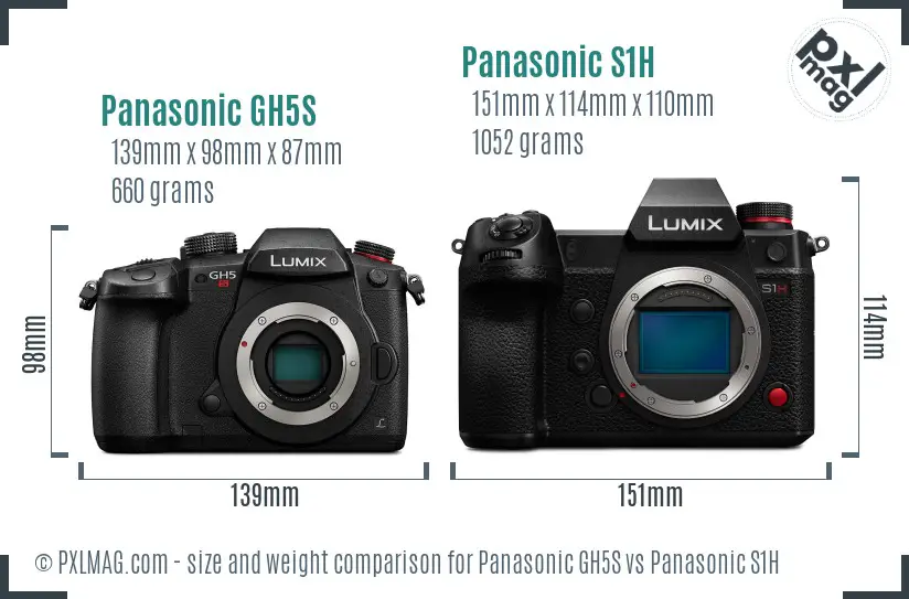 Panasonic GH5S vs Panasonic S1H size comparison