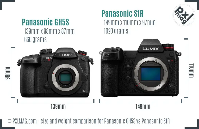 Panasonic GH5S vs Panasonic S1R size comparison