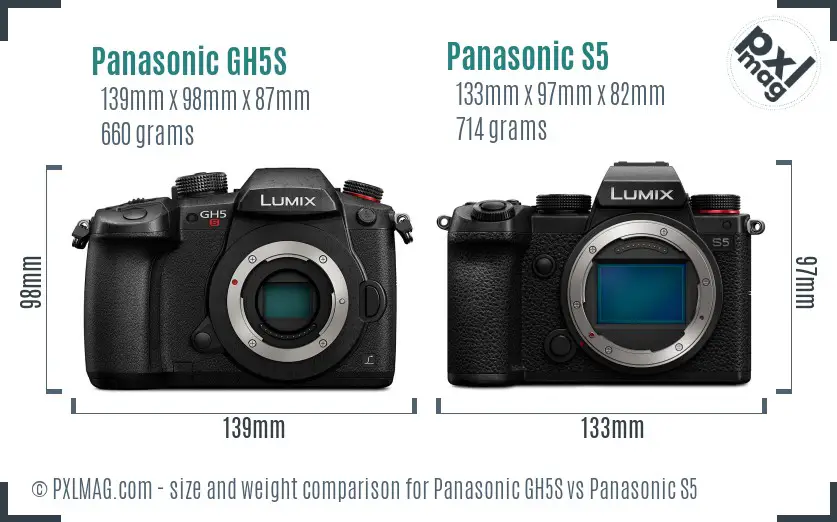 Panasonic GH5S vs Panasonic S5 size comparison
