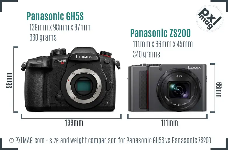 Panasonic GH5S vs Panasonic ZS200 size comparison