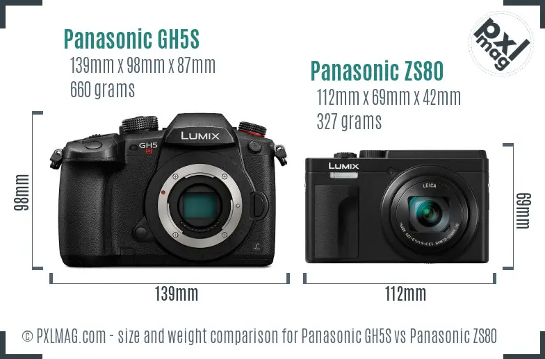 Panasonic GH5S vs Panasonic ZS80 size comparison