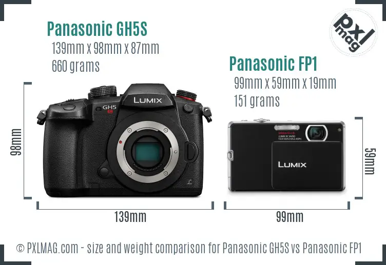 Panasonic GH5S vs Panasonic FP1 size comparison