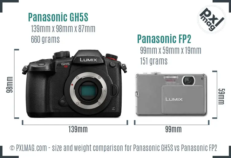 Panasonic GH5S vs Panasonic FP2 size comparison