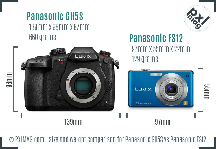 Panasonic GH5S vs Panasonic FS12 size comparison