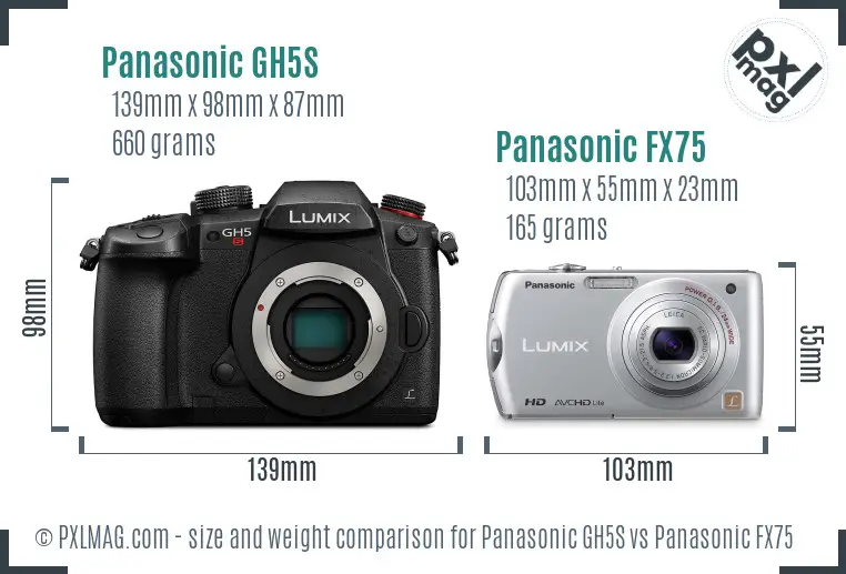 Panasonic GH5S vs Panasonic FX75 size comparison