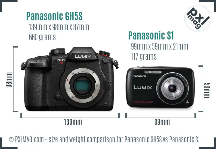 Panasonic GH5S vs Panasonic S1 size comparison