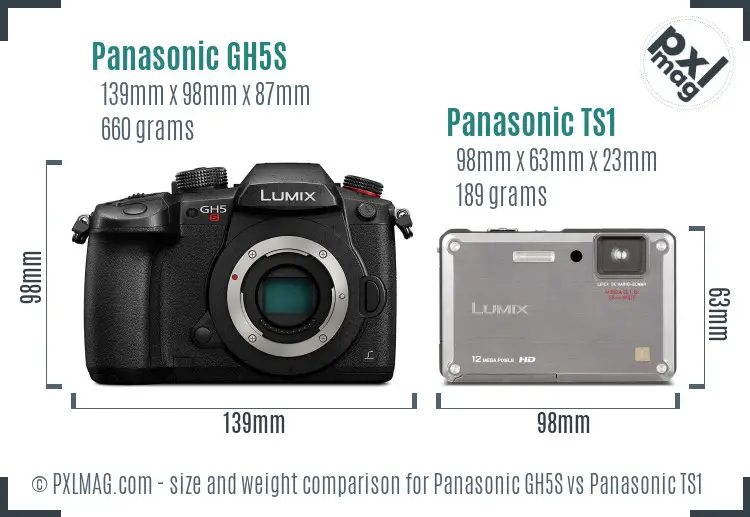 Panasonic GH5S vs Panasonic TS1 size comparison