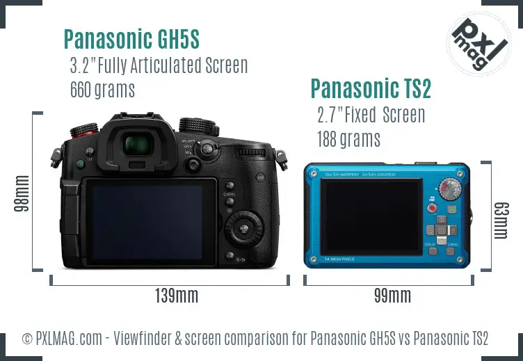 Panasonic GH5S vs Panasonic TS2 Screen and Viewfinder comparison