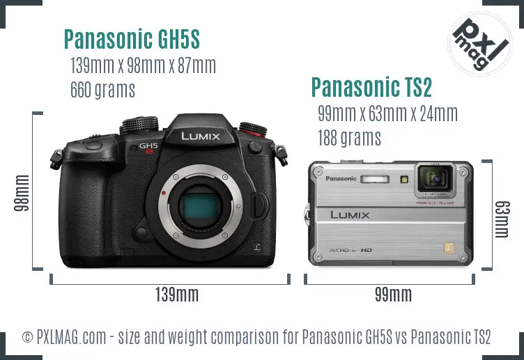 Panasonic GH5S vs Panasonic TS2 size comparison