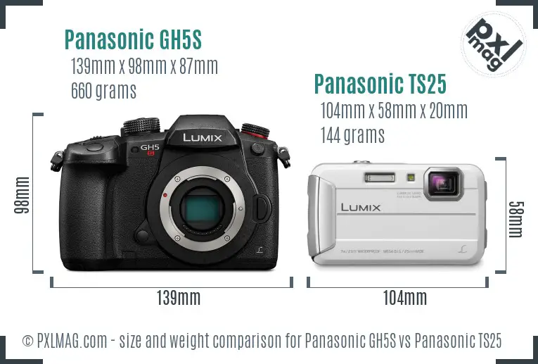 Panasonic GH5S vs Panasonic TS25 size comparison