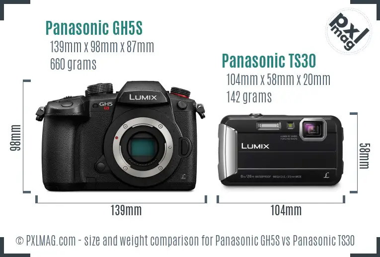 Panasonic GH5S vs Panasonic TS30 size comparison