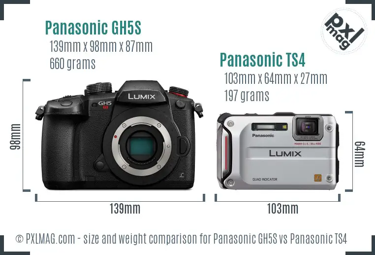 Panasonic GH5S vs Panasonic TS4 size comparison