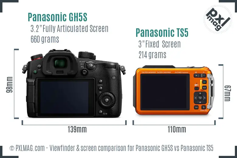 Panasonic GH5S vs Panasonic TS5 Screen and Viewfinder comparison