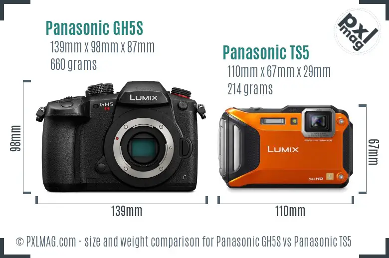 Panasonic GH5S vs Panasonic TS5 size comparison