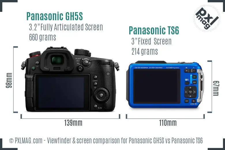 Panasonic GH5S vs Panasonic TS6 Screen and Viewfinder comparison