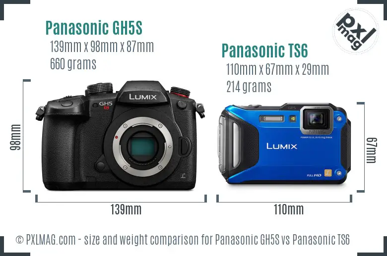 Panasonic GH5S vs Panasonic TS6 size comparison