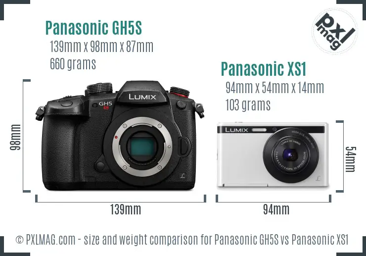 Panasonic GH5S vs Panasonic XS1 size comparison