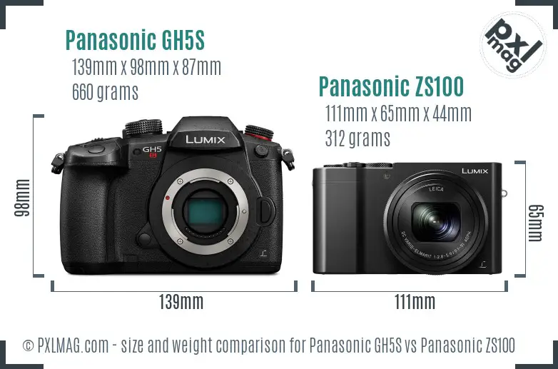 Panasonic GH5S vs Panasonic ZS100 size comparison