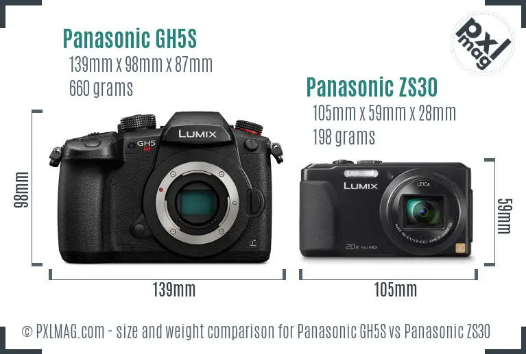 Panasonic GH5S vs Panasonic ZS30 size comparison