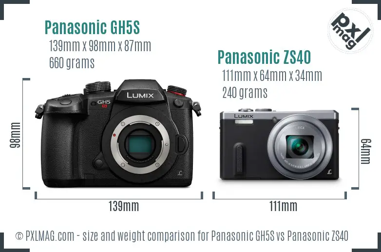 Panasonic GH5S vs Panasonic ZS40 size comparison