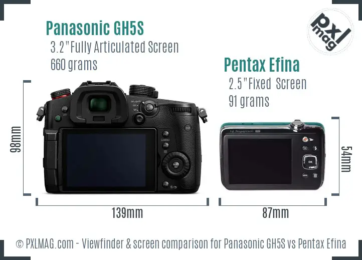 Panasonic GH5S vs Pentax Efina Screen and Viewfinder comparison