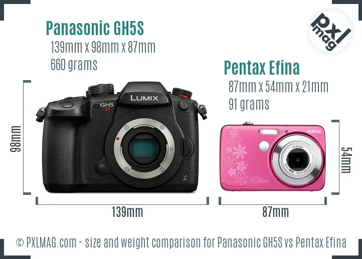 Panasonic GH5S vs Pentax Efina size comparison