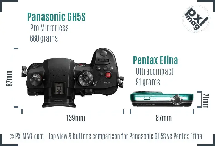 Panasonic GH5S vs Pentax Efina top view buttons comparison
