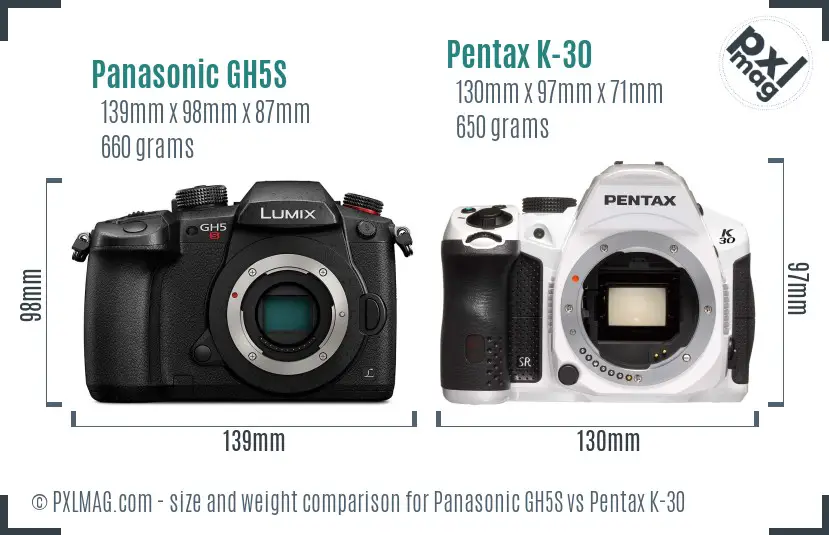 Panasonic GH5S vs Pentax K-30 size comparison