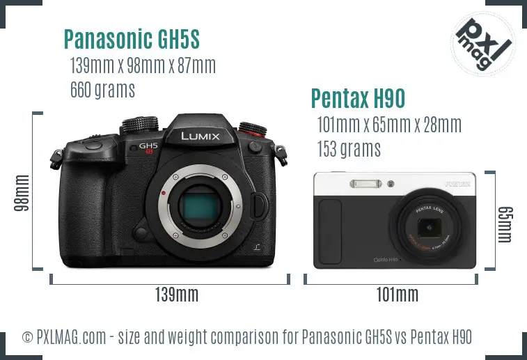 Panasonic GH5S vs Pentax H90 size comparison
