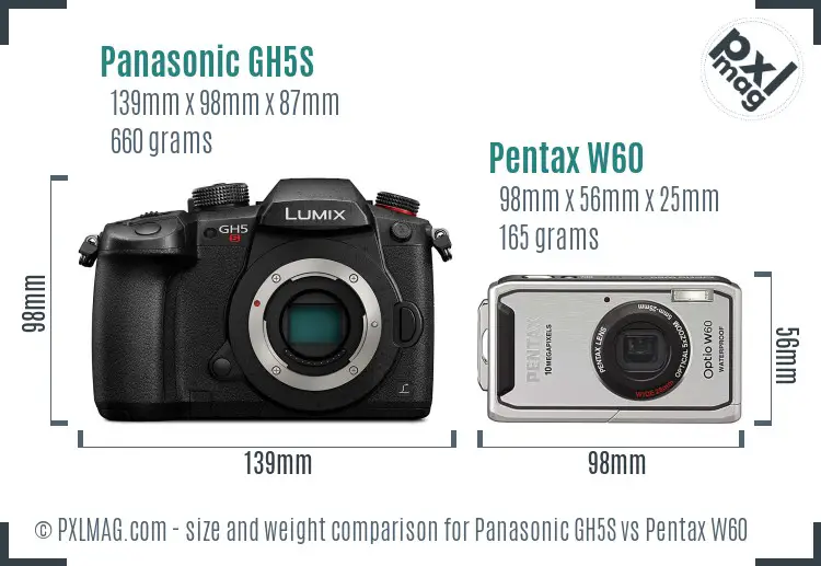 Panasonic GH5S vs Pentax W60 size comparison