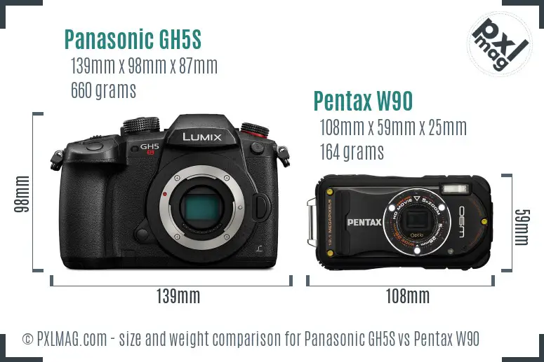 Panasonic GH5S vs Pentax W90 size comparison
