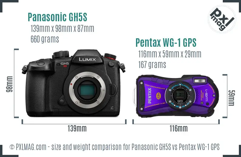 Panasonic GH5S vs Pentax WG-1 GPS size comparison