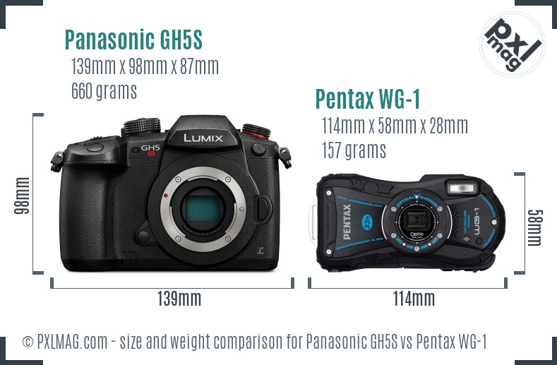 Panasonic GH5S vs Pentax WG-1 size comparison