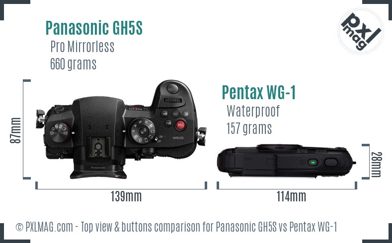 Panasonic GH5S vs Pentax WG-1 top view buttons comparison