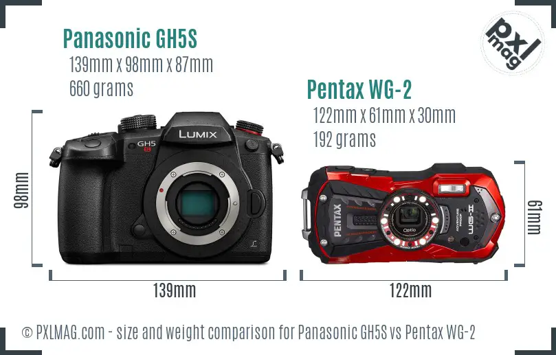 Panasonic GH5S vs Pentax WG-2 size comparison