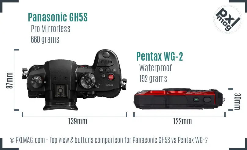 Panasonic GH5S vs Pentax WG-2 top view buttons comparison