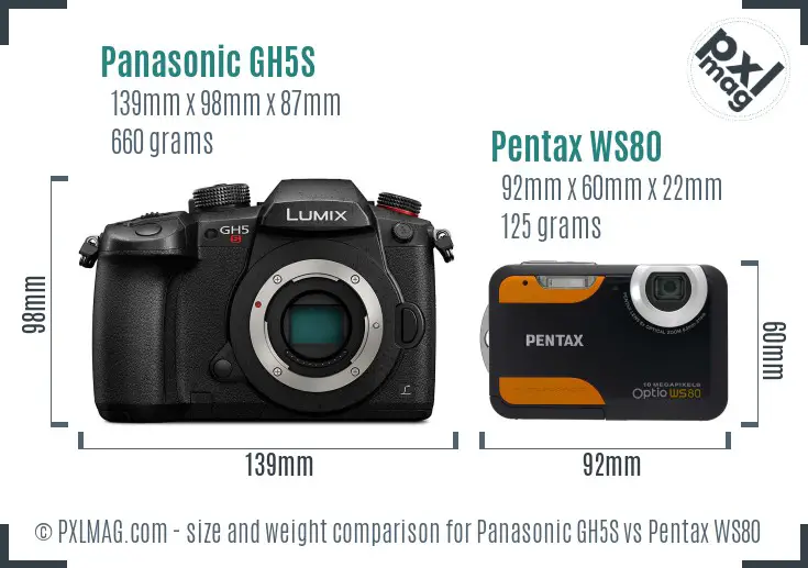 Panasonic GH5S vs Pentax WS80 size comparison