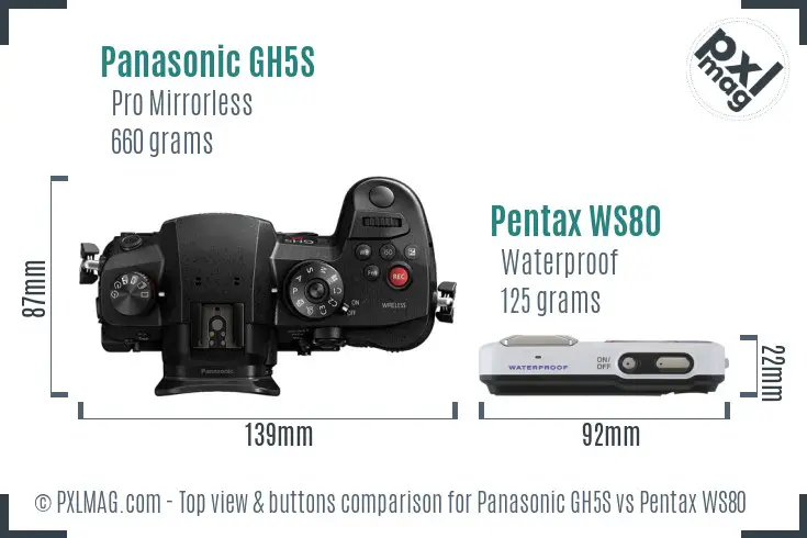 Panasonic GH5S vs Pentax WS80 top view buttons comparison