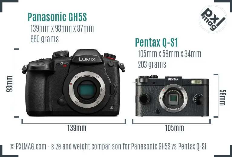 Panasonic GH5S vs Pentax Q-S1 size comparison