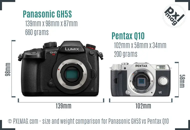 Panasonic GH5S vs Pentax Q10 size comparison