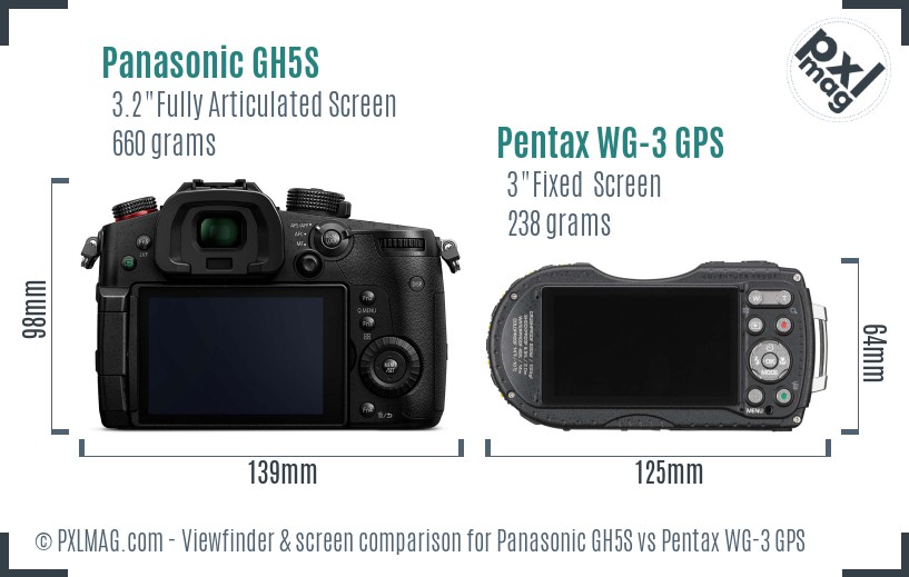 Panasonic GH5S vs Pentax WG-3 GPS Screen and Viewfinder comparison