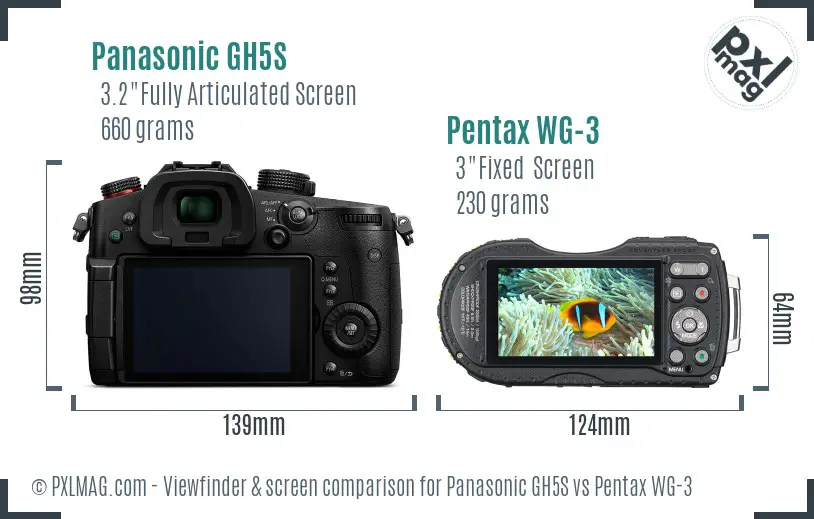 Panasonic GH5S vs Pentax WG-3 Screen and Viewfinder comparison