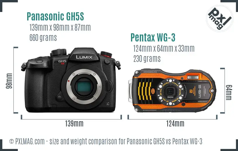 Panasonic GH5S vs Pentax WG-3 size comparison