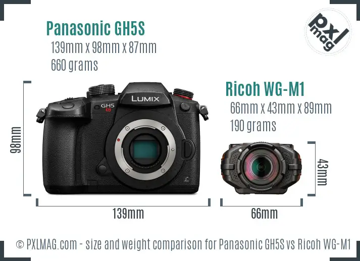 Panasonic GH5S vs Ricoh WG-M1 size comparison
