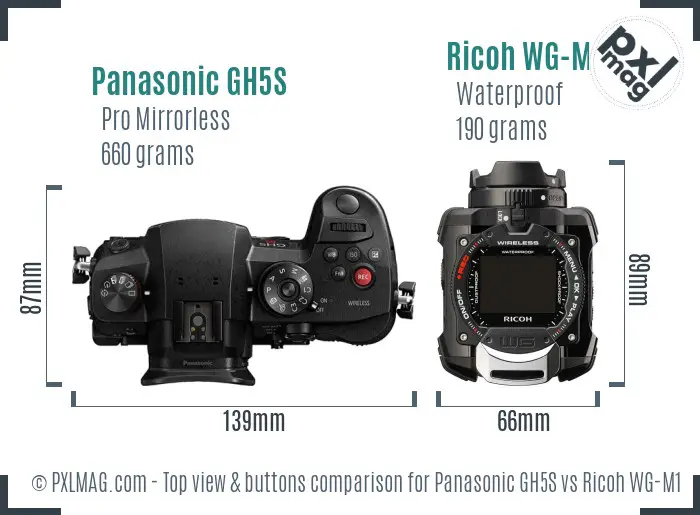 Panasonic GH5S vs Ricoh WG-M1 top view buttons comparison