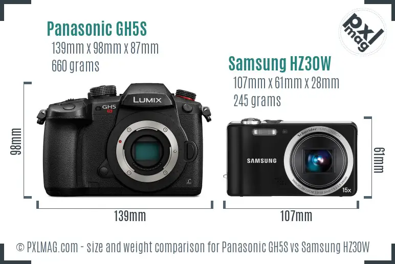 Panasonic GH5S vs Samsung HZ30W size comparison