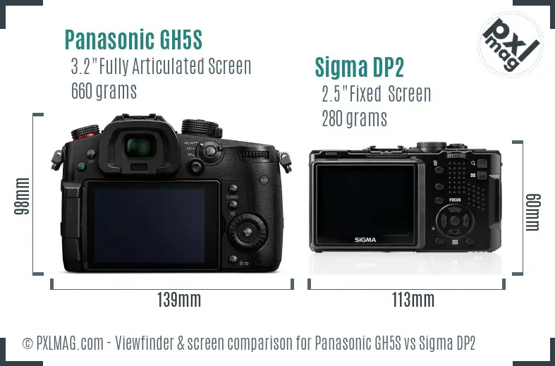 Panasonic GH5S vs Sigma DP2 Screen and Viewfinder comparison