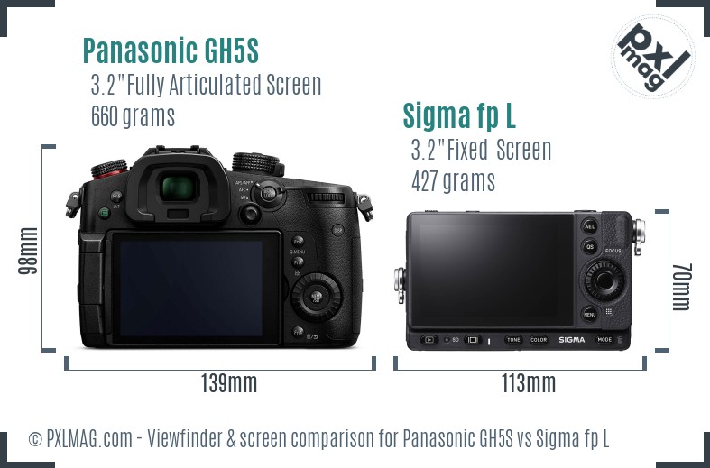 Panasonic GH5S vs Sigma fp L Screen and Viewfinder comparison